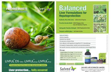 Brochure Design Company in Delhi- NCR