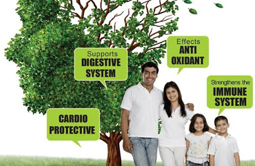 Leaflet Design Company in Delhi- NCR